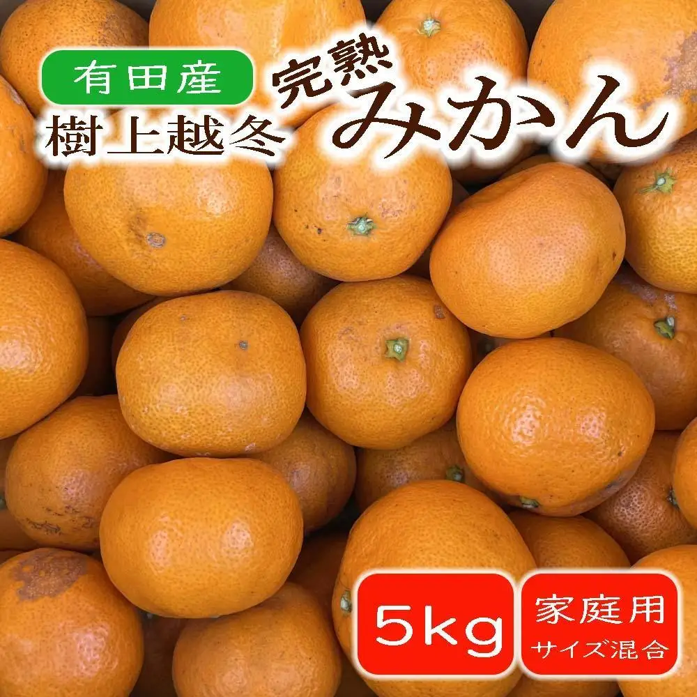 ［濃厚・まろやか］有田産樹上越冬完熟みかん約5kg（ご家庭用）★2027年1月下旬頃より順次発送