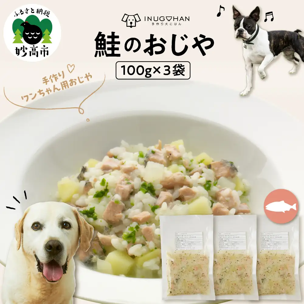 鮭のおじや　100g×3袋入