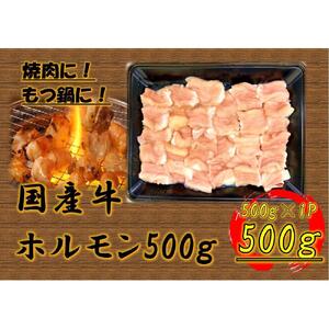 国産牛　ホルモンセット　500g