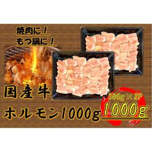 国産牛　ホルモンセット　1000g