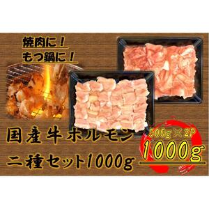 国産牛　ホルモン二種セット1000g