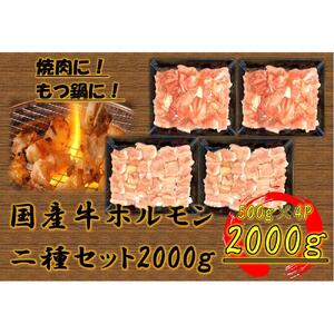 国産牛　ホルモン二種セット2000g