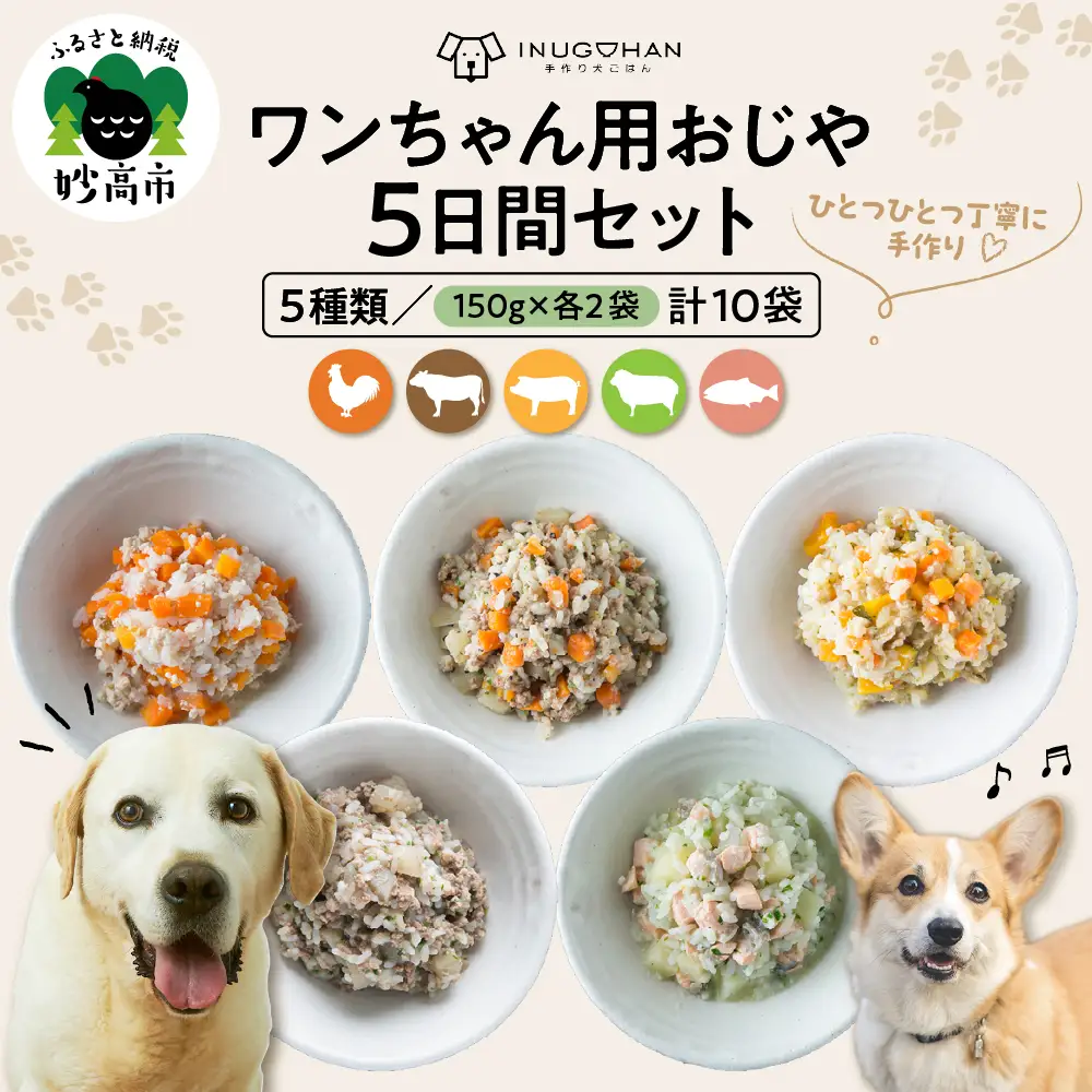 ワンちゃん用おじや5日間セット【各150g×2袋(計10袋)】