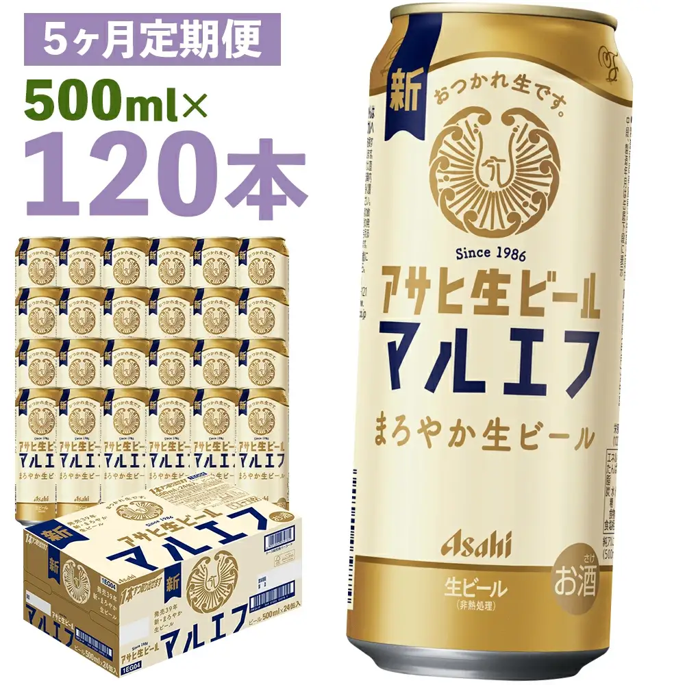 【5か月定期便】【福島のへそのまち　もとみや産】アサヒ生ビール（マルエフ）500ml×24本　【07214-0345】