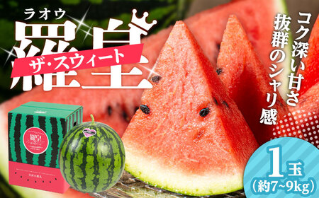 【先行予約】日田西瓜（すいか）【羅皇ザ・スウィート：1玉 7〜9kg】 スイカ[AREW002]