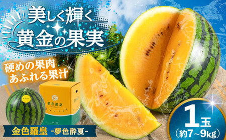 【先行予約】金色羅皇すいか（夢色酔夏：1玉 7〜9kg )  スイカ[AREW003]