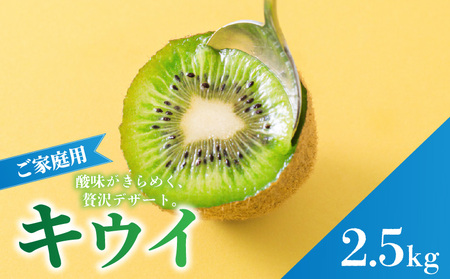 キウイフルーツ ヘイワード 2.5kg サイズ混合 家庭用 【先行予約 2026年10月下旬から発送】 | きうい 果物 キウイくだもの フルーツ おすすめ 人気 お取り寄せ グルメ ギフト 期間限定 数量限定 ご当地 愛媛県 松山市【RNK0161】