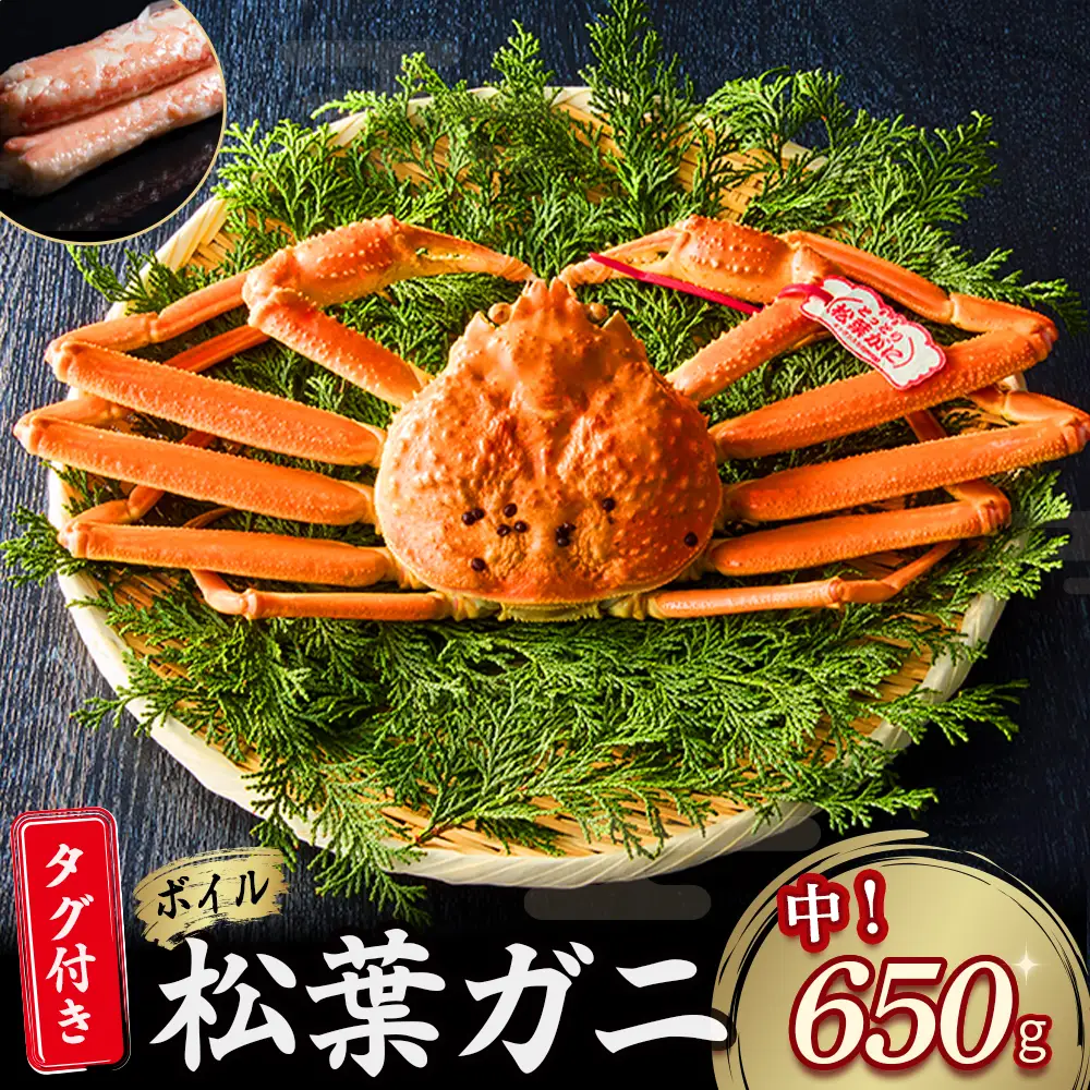 【先行予約】【魚倉】タグ付き ボイル 松葉ガニ（中650g） カニ 蟹 かに