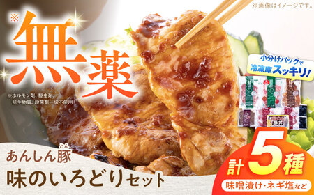 豚肉 味のいろどりセット 5種 白川町 / 藤井ファーム  [AWAF002]