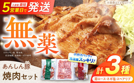 豚肉 焼肉セット 計1kg 味付き豚肉 / 藤井ファーム  [AWAF005]