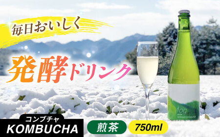 煎茶コンブチャ　fog-sencha 750ml オリジナルコンブチャ お茶 発酵飲料 腸活 白川町 / 新田製茶[AWBK006]