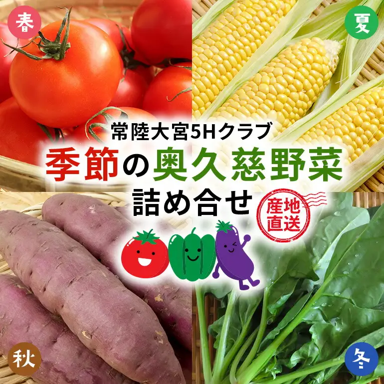 【産地直送】季節の奥久慈野菜 詰め合せセット（春、夏、秋、冬） 野菜 野菜セット 季節 セット 特産 詰め合わせ 国産 旬 おまかせ お楽しみ 直送 【常陸大宮5Hクラブ】【ho1483】
