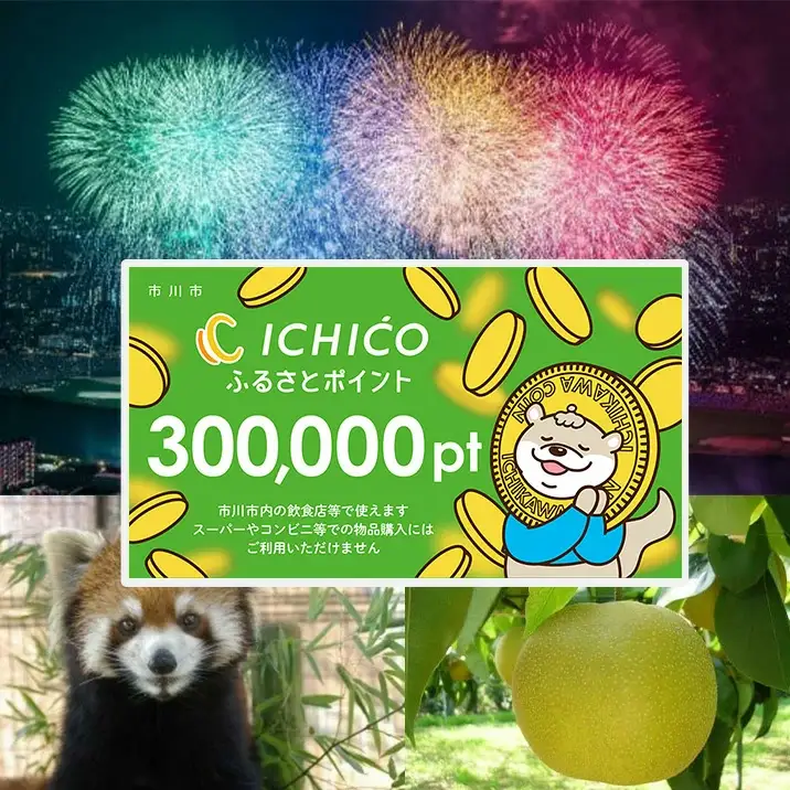 デジタル地域通貨ICHICOふるさとポイント300,000pt　【12203-0287】