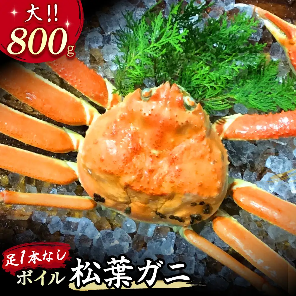 【先行予約】【魚倉】足１本なし ボイル 松葉ガニ （大800g）訳あり かに 蟹 カニ