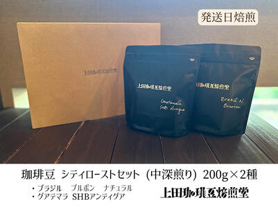 【上田珈琲豆焙煎堂】珈琲豆 中深煎り セット 200g×2種 セット ブラジルブルボン・グアテマラSHB【豆】 HNNBM007