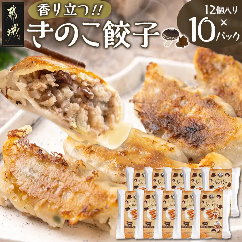 香り立つ!!「きのこ餃子」120個〔16-8701〕_(都城市) ギョウザ 12個入り 10パック 無農薬栽培 椎茸 きくらげ 都城産ブランド豚 きなこ豚 きゃべつ ニラ ニンニク使用 ヘルシー餃子 大杉しいたけ園