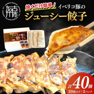 大西食品「イベリコ豚のジューシー餃子」《 ギョーザ 焼くだけ 簡単 イベリコ豚 ベジョータ 兵庫県 加古川市 》【2401I15301】