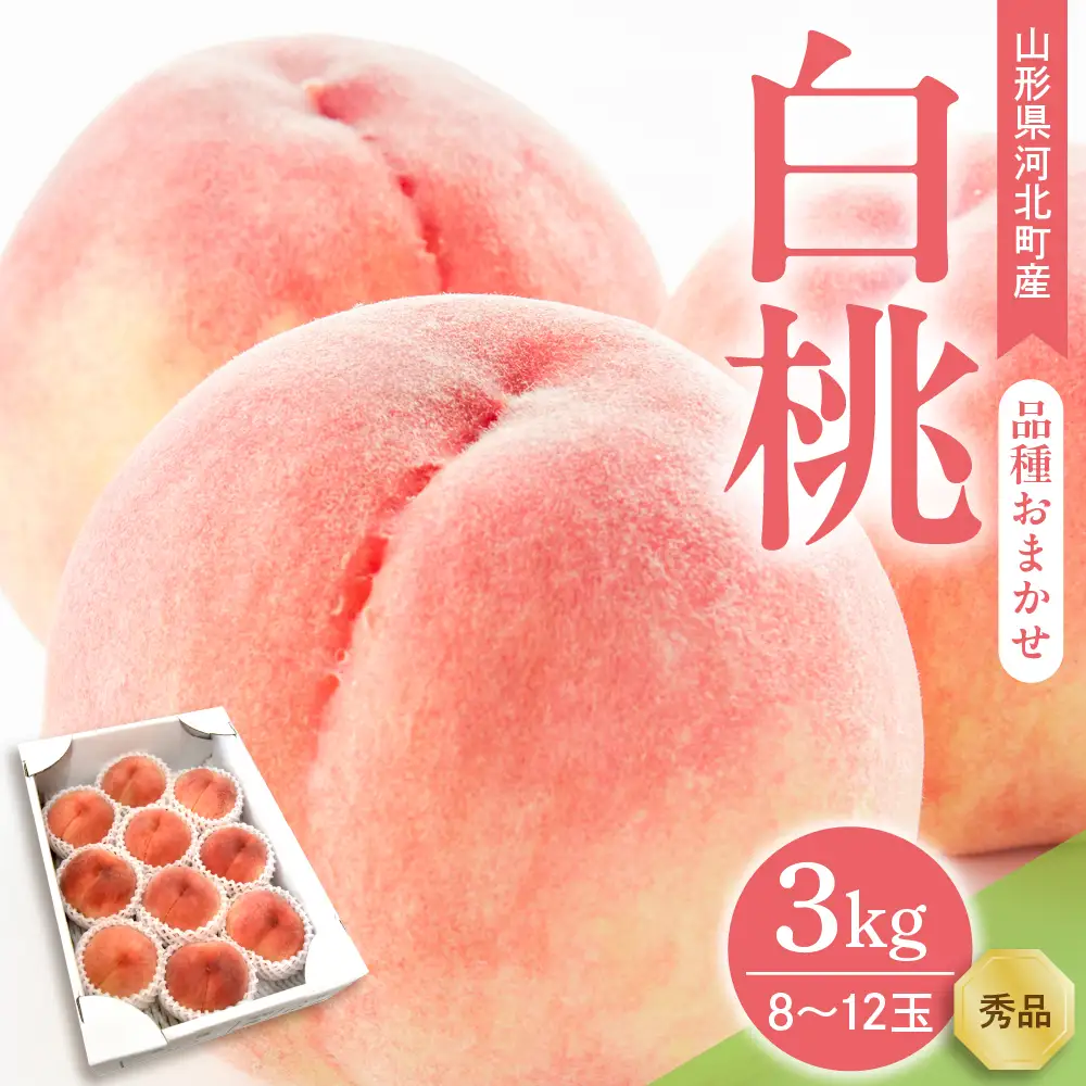 桃 白桃 3kg 品種おまかせ 8-12玉 令和8年産 桃 フルーツ