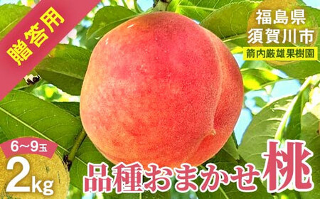桃 ＜箭内厳雄果樹園＞ もも 2kg 6～9玉 品種おまかせ 贈答用 F7X-0225