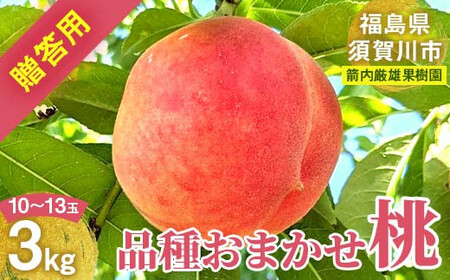 桃 ＜箭内厳雄果樹園＞ もも 3kg　10～13玉 品種おまかせ 贈答用 F7X-0226
