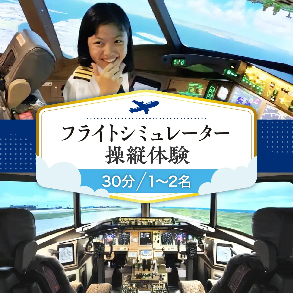 フライトシミュレーター操縦体験30分コース