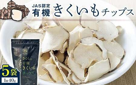 菊芋チップス　5袋入り 北海道産 n-0081