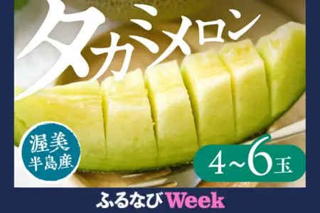 【ふるなびWEEK対象】【先行予約】タカミメロン 4～6玉 メロン JA愛知みなみ