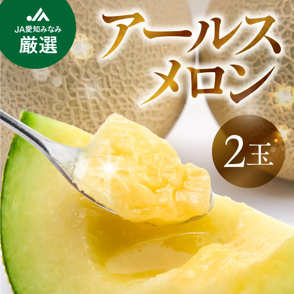 【先行予約】アールスメロン 2玉 メロン JA愛知みなみ