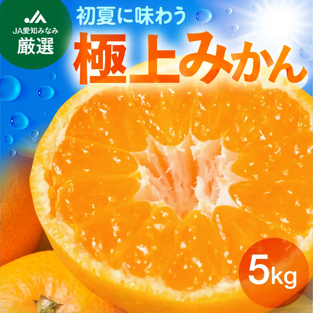 【先行予約】伊良湖 温室みかん 5kg みかん フルーツ