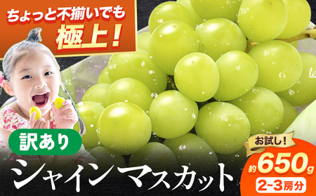 シャインマスカット 訳あり 約650g