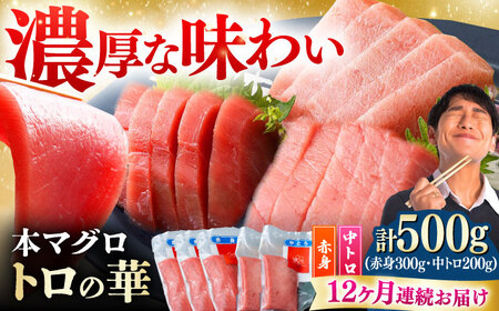 【全12回定期便】対馬産 本マグロ 500g（赤身300g、中トロ200g） トロの華 対馬 新鮮 マグロ トロ 鮪 刺身 [WAQ046]