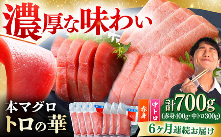 【全6回定期便】対馬産 本マグロ 700g（赤身400g、中トロ300g） トロの華 対馬 新鮮 マグロ トロ 鮪 刺身 [WAQ049]
