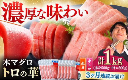 【全3回定期便】対馬産 本マグロ 1kg（赤身500g、中トロ500g） トロの華 対馬 新鮮 マグロ トロ 鮪 刺身 [WAQ052]
