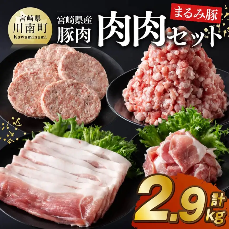 宮崎県産豚肉「まるみ豚」肉肉セット計2.9kg 豚肉