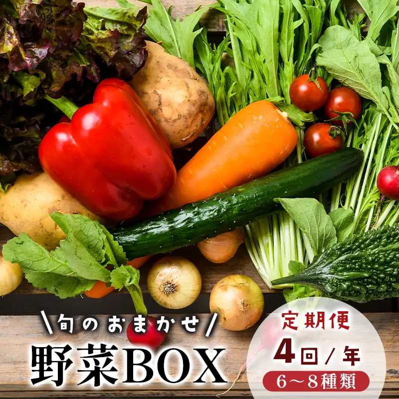 【4回定期便】季節の野菜 詰め合せ セット 6～8種類 年4回 旬野菜