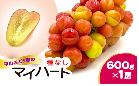 平山ぶどう園のマイハート（種なし）600g × 1房 /  / ぶどう ブドウ 葡萄 種なし たねなし フルーツ 果物 令和8年発送 HRB002