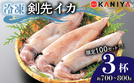 イカ 剣先イカ 約 700g ~ 800g  冷凍 いか 3杯 イカお刺身用  生食可能 ケンサキイカ おいしいイカ 剣先いか イカ 山口県産 ご飯 蟹屋 KNY-KE01-sp 下関 山口