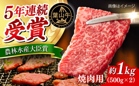【冷蔵発送でお届け】 葉山牛 焼肉用切り落としセット 約1kg 【JAよこすか葉山】[AKFO012]