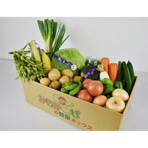 伊勢崎産＜採れたて！店長厳選！＞新鮮野菜詰合せ