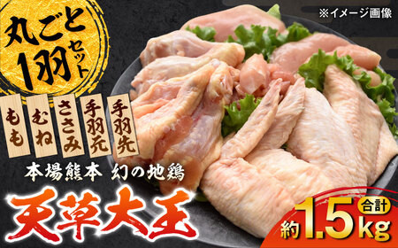 天草大王 1羽まるごとセット 計約1.5kg  鶏肉[AYAB011]