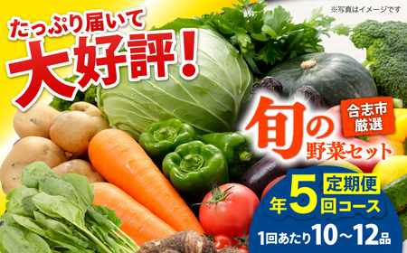 【年5回コース定期便】合志の旬のお野菜10品から12品目  野菜[AYAB020]