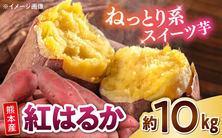 紅はるか さつまいも 秀品 約10kg S?2Lサイズ混合 さつまいも[AYAT005]
