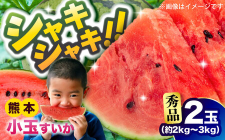 【2026年5月より発送 数量限定】小玉すいか 秀品 2玉 約2kg?3kg スイカ[AYAT008]