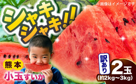 【2026年5月より発送 数量限定】訳あり 小玉すいか 2玉 約2kg?3kg スイカ [AYAT009]