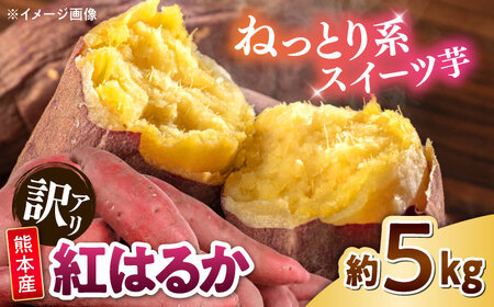 【訳あり】紅はるか さつまいも 約5kg 2S?3Lサイズ混合 さつまいも[AYAT010]