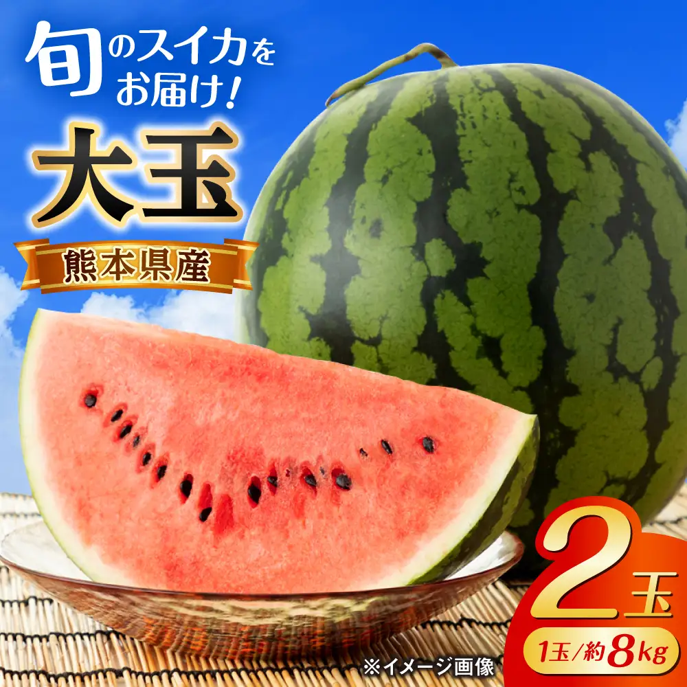 数量限定 大玉スイカ2玉計約16kg 西瓜スイカすいか AYAU002