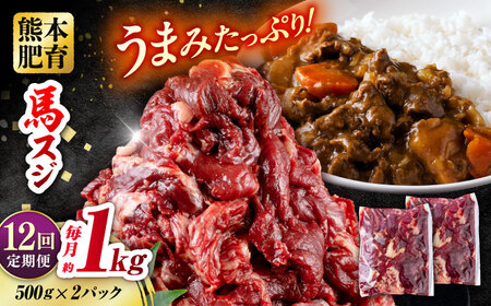 【全12回定期便】 馬スジ 計12kg 1回あたり1kg（500g×2パック） / 馬肉 スジ 筋 煮込み 冷凍[AYBV015]