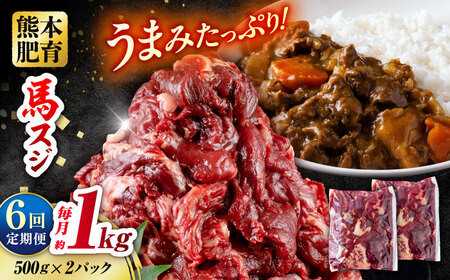 【全6回定期便】 馬スジ 計6kg 1回あたり1kg（500g×2パック） / 馬肉 スジ 筋 煮込み 冷凍[AYBV032]