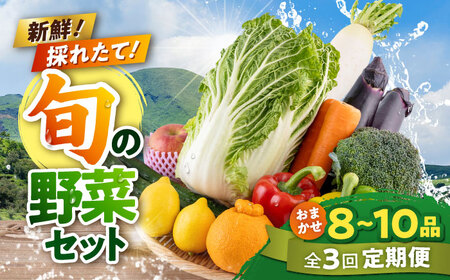 【全3回定期便】旬な野菜おまかせ詰め合わせセット 野菜 [AYCA003]