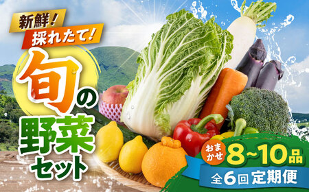 【全6回定期便】旬な野菜おまかせ詰め合わせセット 野菜 [AYCA004]